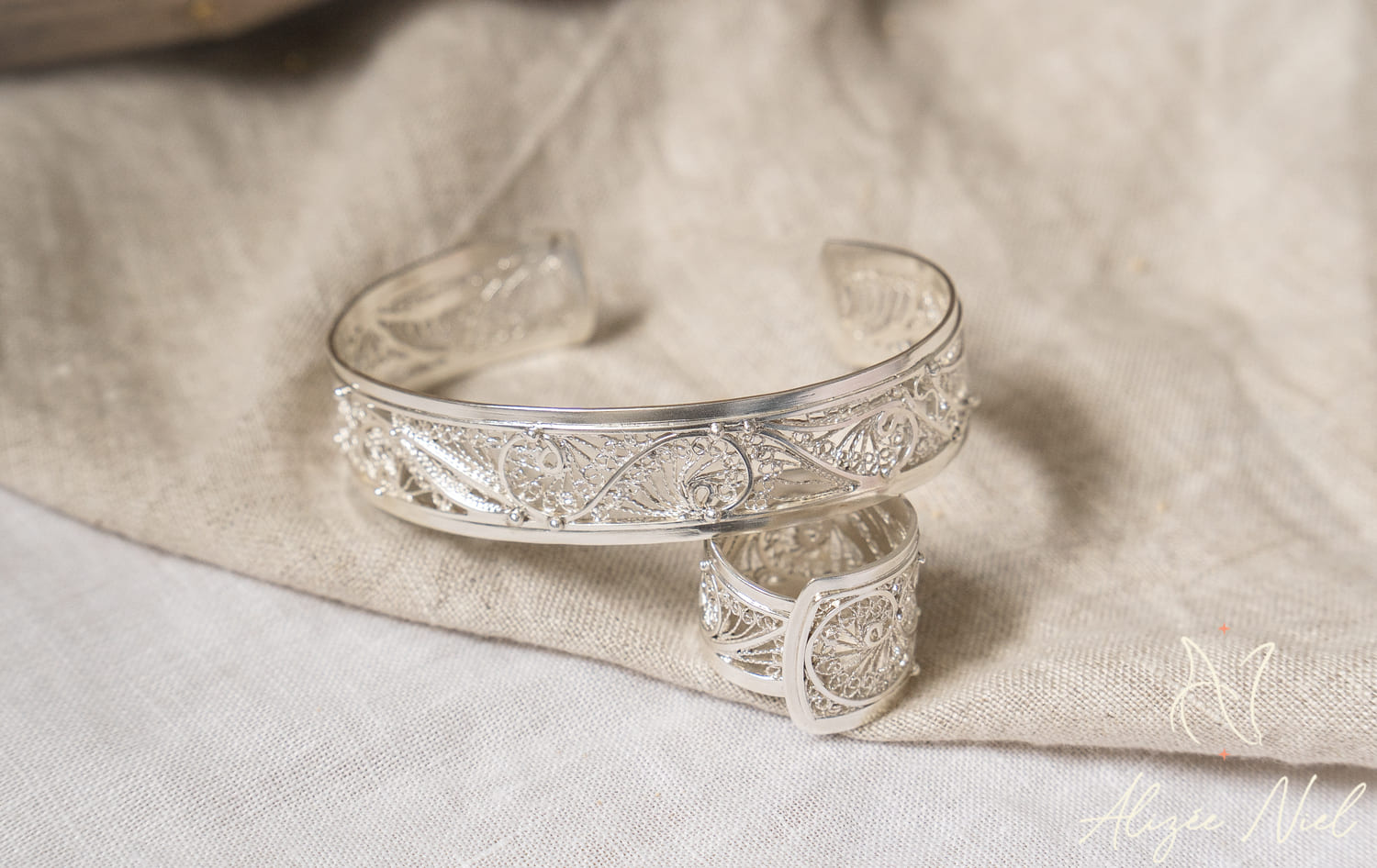 Lire la suite à propos de l’article NIEL Alizée